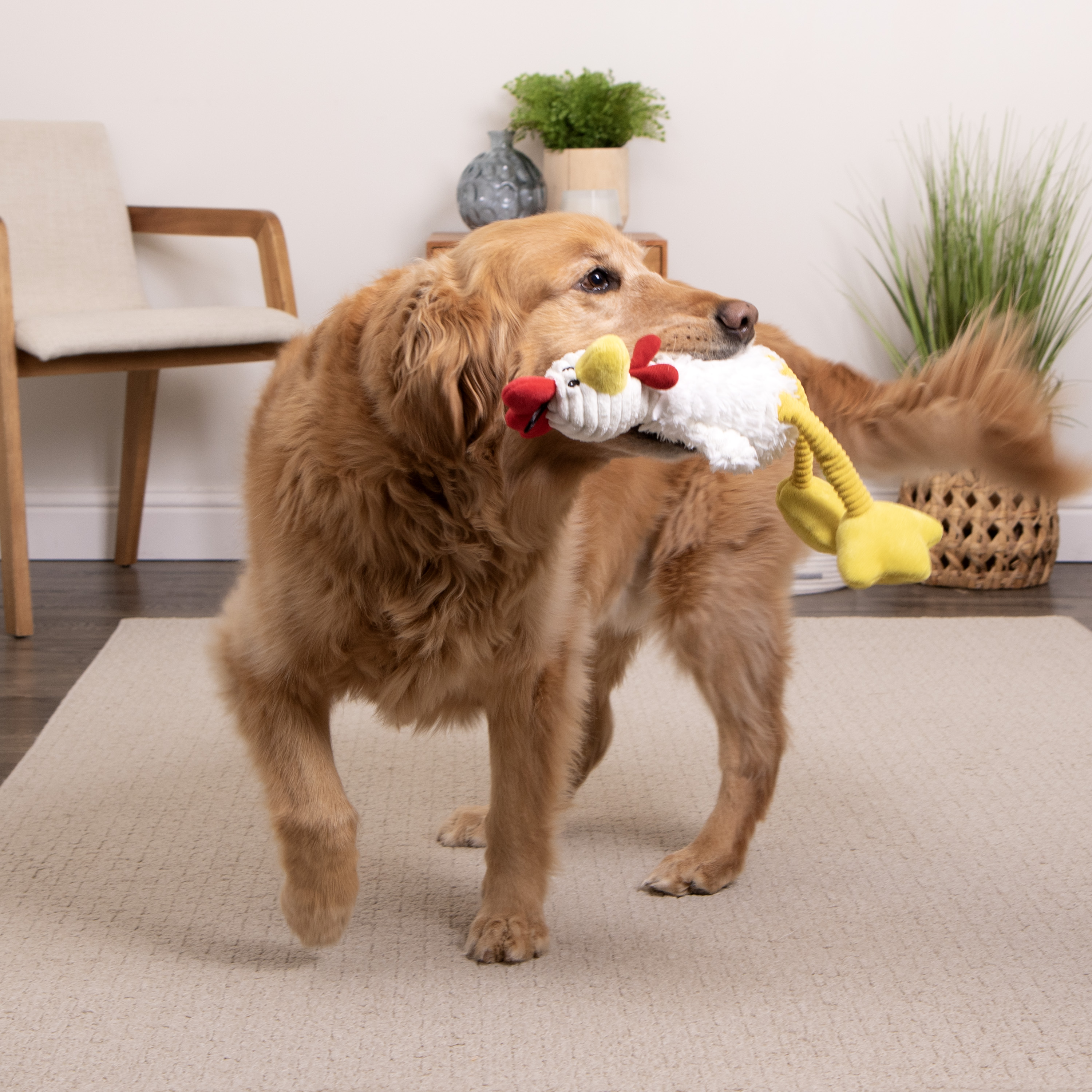 Tough 'N Fun™ Food Collection Plush Dog Toys - TrustyPup
