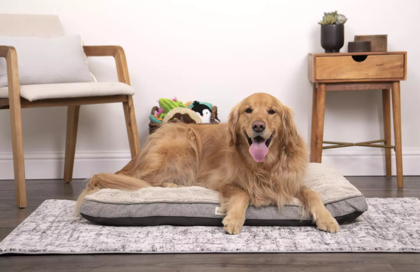 Trustypup orthopedic best sale dog bed