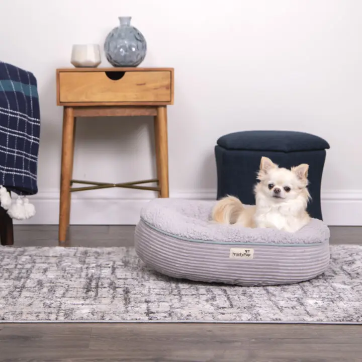 Tp dog bed 2025