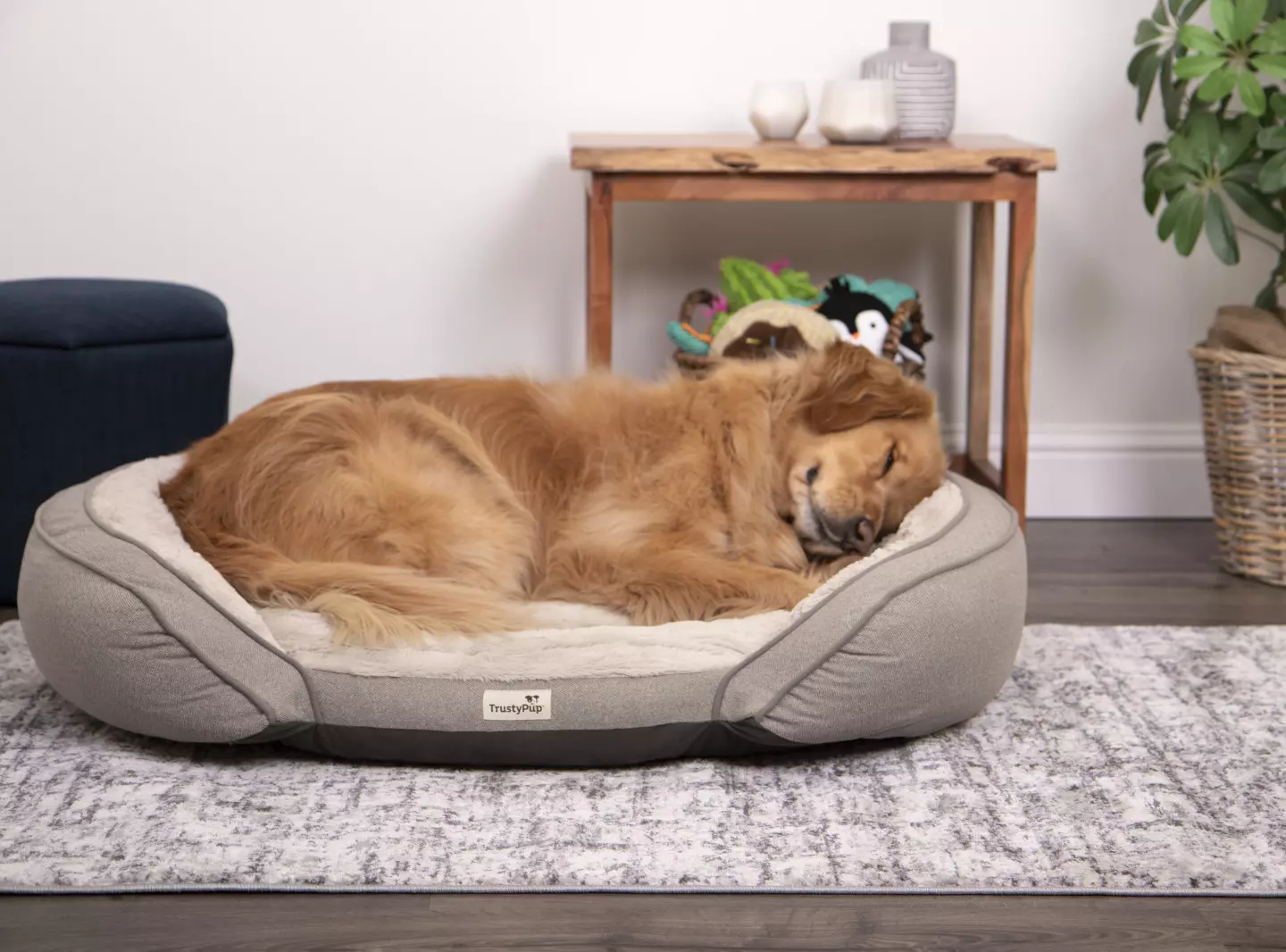 Petlinks 2024 dog bed