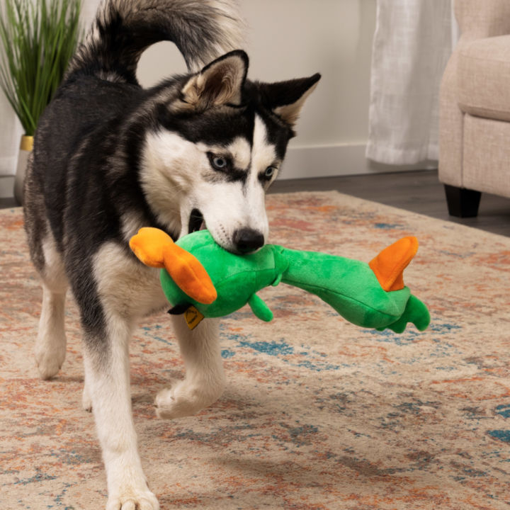 Durable Interaction Dog Toys