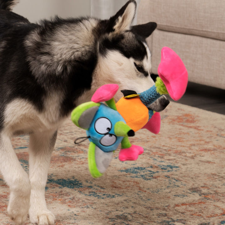 Leaps & Bounds Ruffest & Tuffest Pterodactyl Tough Plush Dog Toy