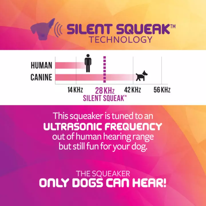 Squeaky toy only dogs can clearance hear