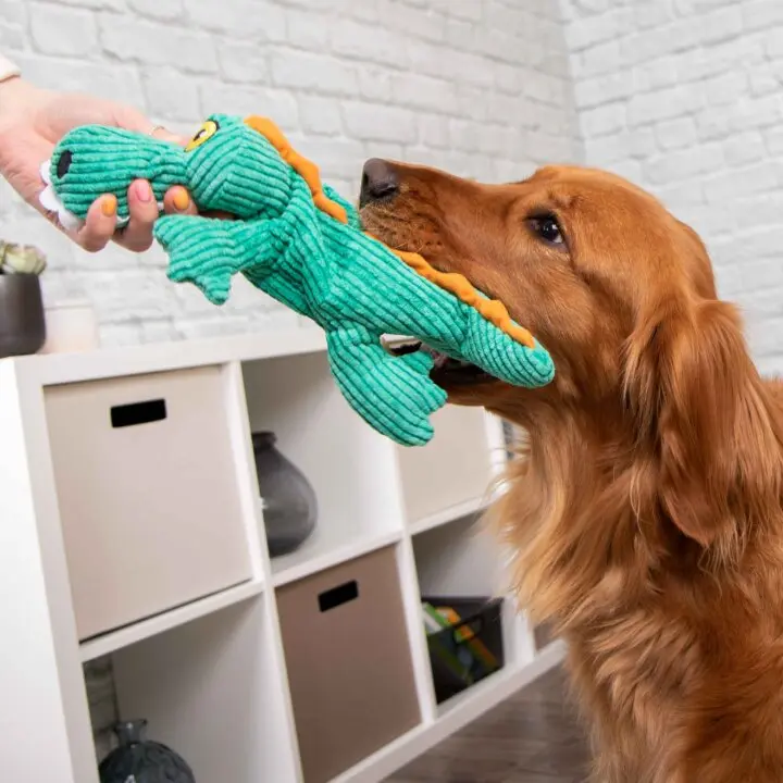 Strong 'N Silent™ Dog Toys - TrustyPup