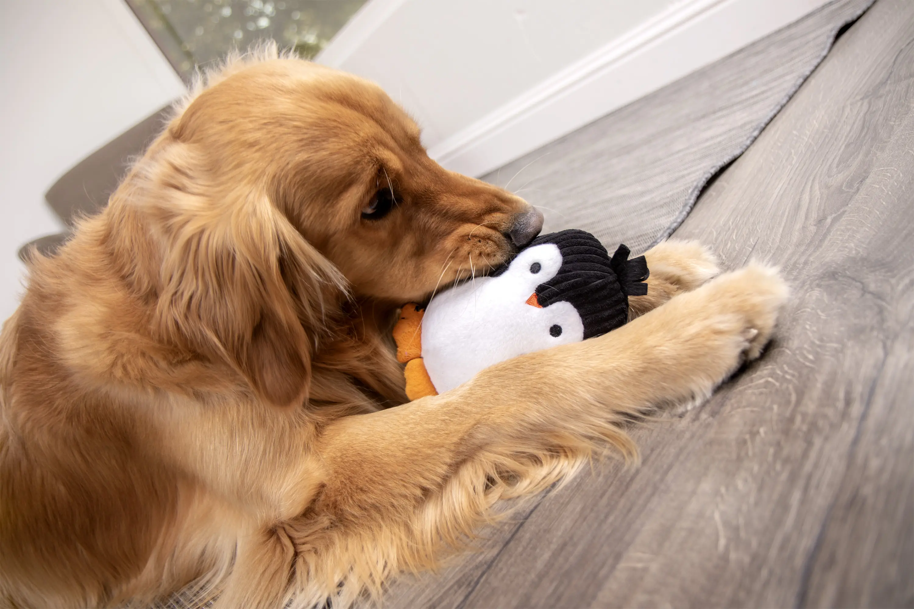 Silent Squeak™ Plush Dog Toys Products - goDog