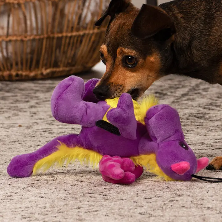 https://trustypup.com/wp-content/uploads/sites/8/2022/09/71149_Trusty_Pup_Toys_Dragon_Purple_Lifestyle_Cropped_Square-720x720.jpg.webp