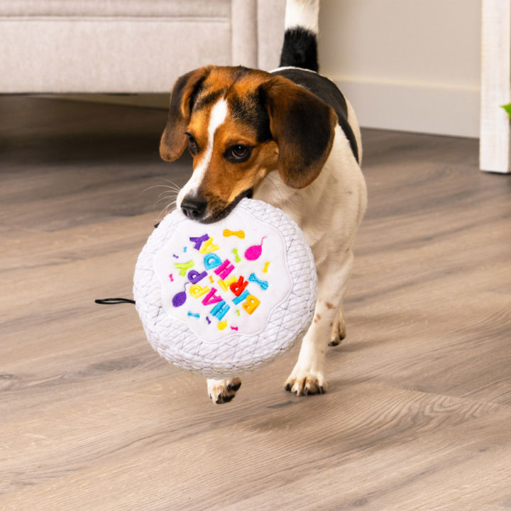 Tough 'N Fun™ Durable Interaction Dog Toys - TrustyPup